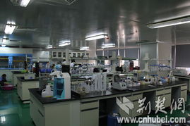 全國網(wǎng)媒采訪團(tuán)光谷生物城感受生命科技奧妙